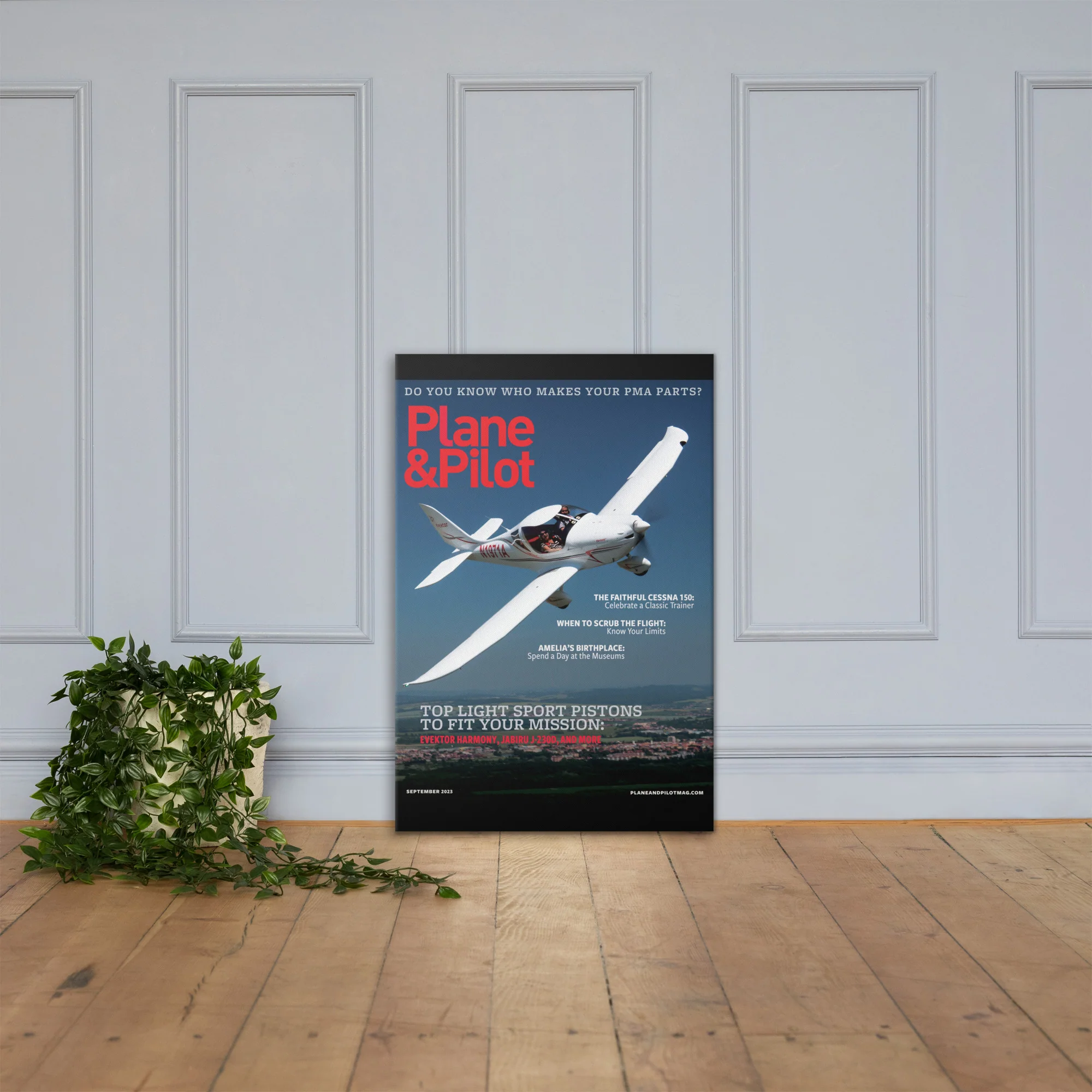Plane & Pilot September 2023 Cover Print - Image 11